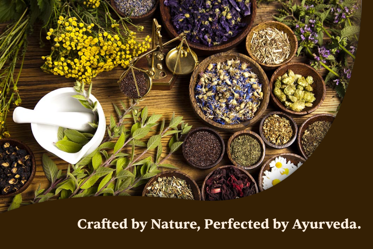 Ayurvedic Herbs That Work From Within: Eat Your Way to Better Skin