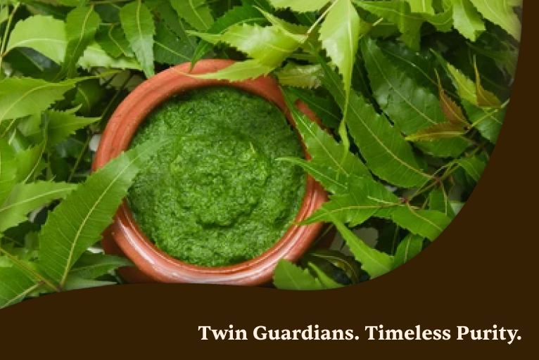 Neem and Tulsi: The Twin Guardians of Ayurvedic Purity