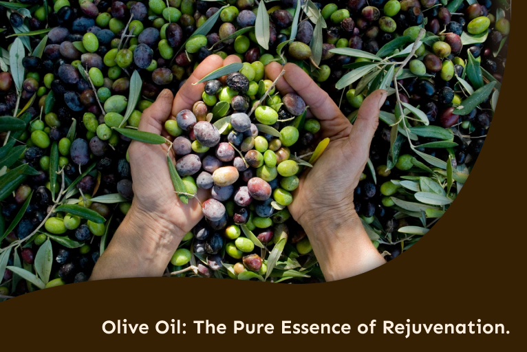 The Ayurvedic Role of Olive Oil in Restoring Skin Vitality
