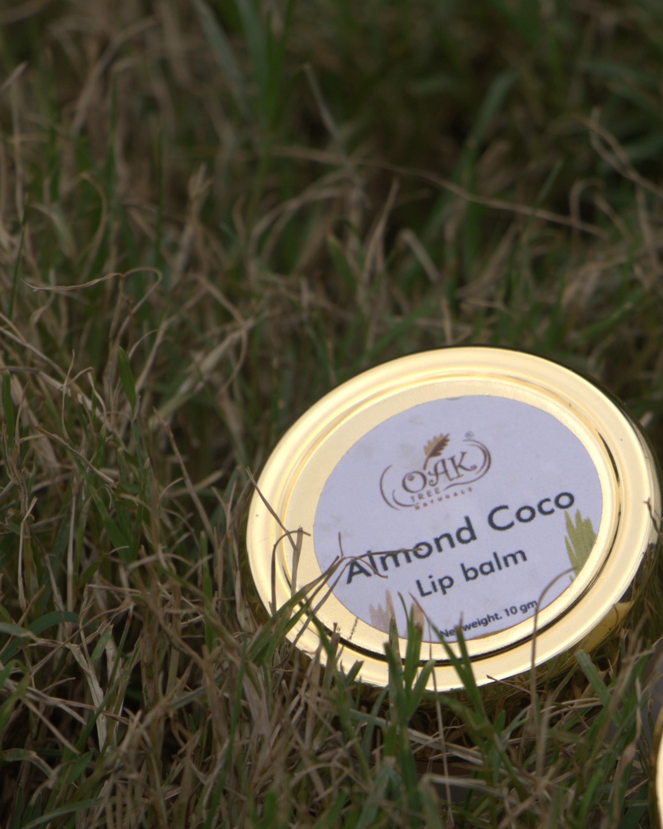 Natural Almond Coconut Lip Balm | Moisturizing Lip Care for Dry Chapped Lips (10g)