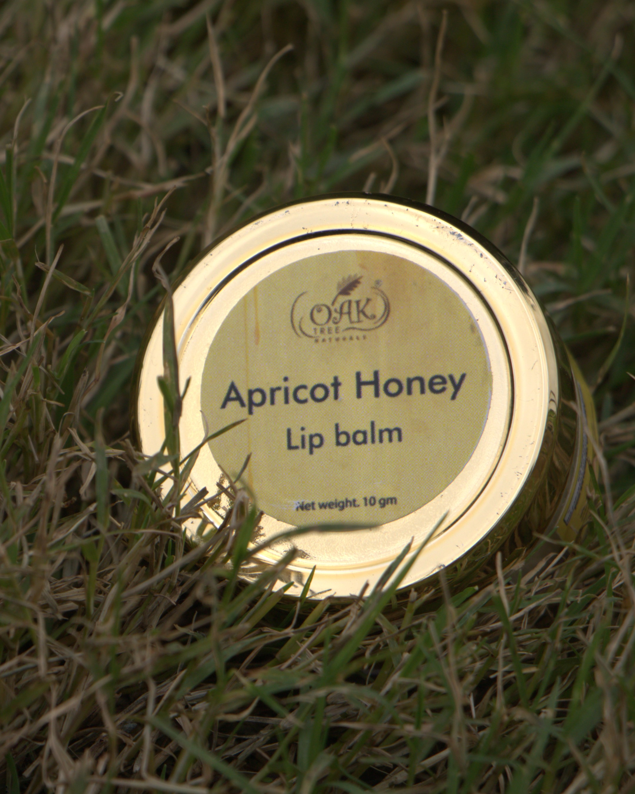 Apricot Honey Lip Balm for Soft Lips | Natural Lip Care with Vitamin E (10gms)