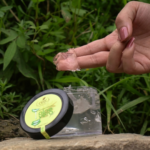 aloe vera gel